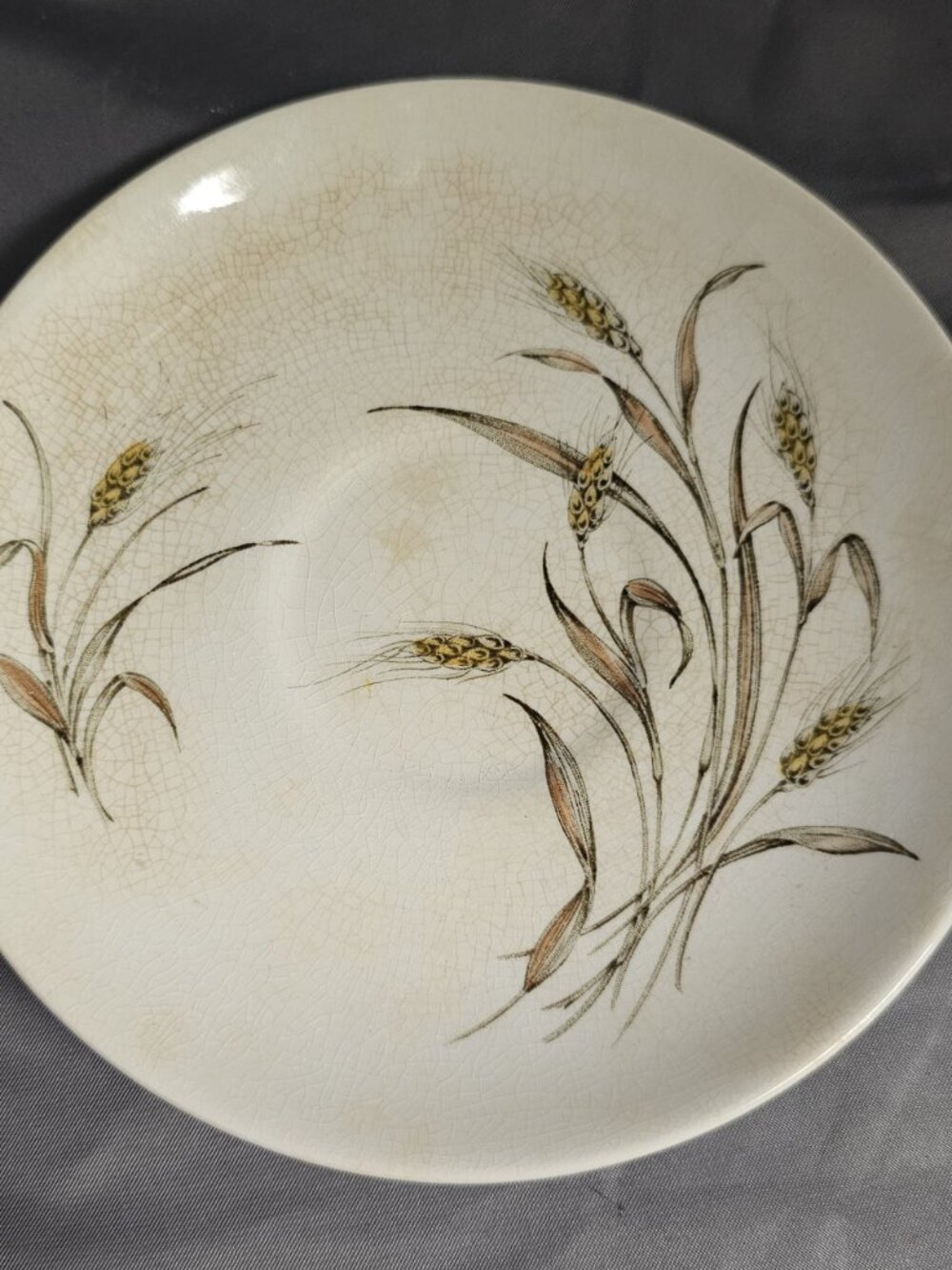 Golden Harvest Made in England - Johnson Bros Plate - Preowned